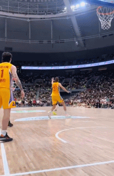 DS, 戒指, 材无法站稳 DS, 戒指, 材无法站稳